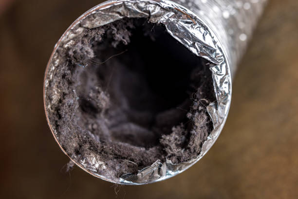 Best Commercial Air Duct Cleaning  in Sudley, VA